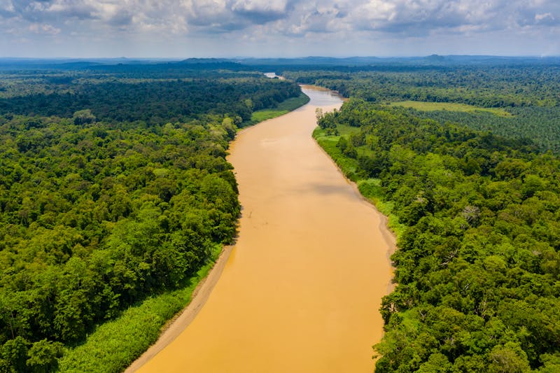 Kinabatangan Fluss im Norden von Borneo - ©Richard Whitcombe - stock.adobe.com