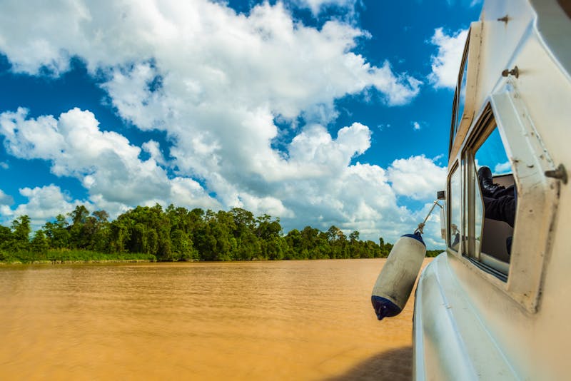 Bootsfahrt auf dem Kinabatangan River in Borneo - ©Joshua Davenport - stock.adobe.com