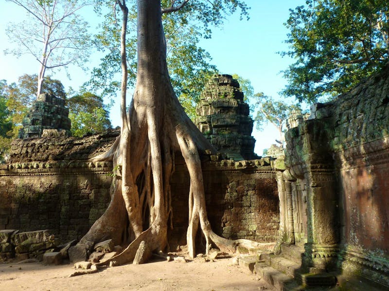 Angkor Thom - Ta Prohm Tempel - ©Ralf Mehnert - Eberhardt TRAVEL