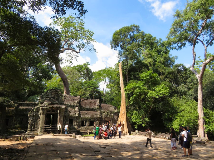 Ta Prohm Dschungeltempel in Kambodscha – © Julian Bartsch - Eberhardt TRAVEL
