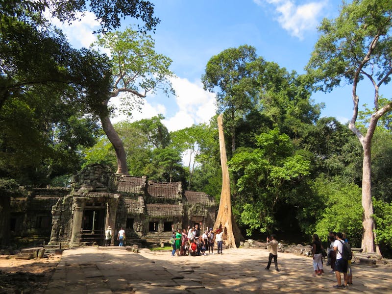 Ta Prohm Dschungeltempel in Kambodscha - ©Julian Bartsch - Eberhardt TRAVEL