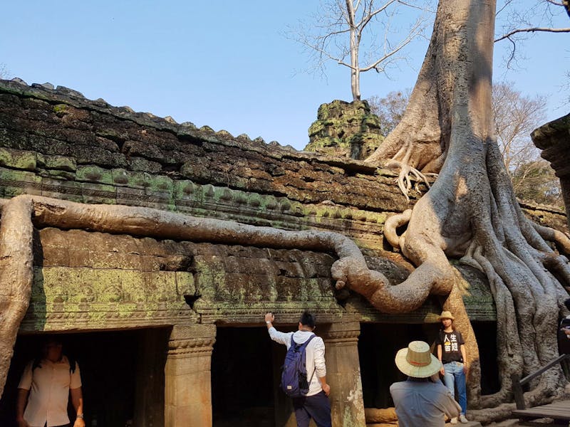 Führung im Dschungeltempel Ta Prohm - ©Jörg Nesse - Eberhardt TRAVEL