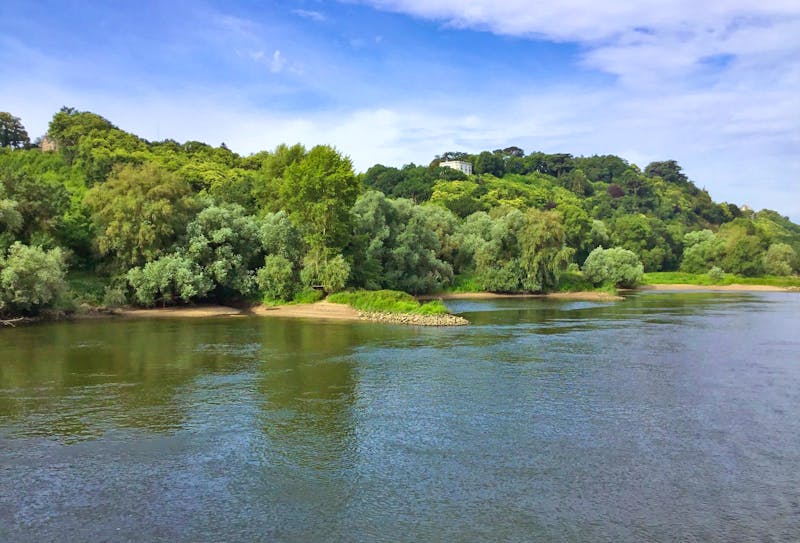 Flusskreuzfahrt auf der Loire - bei Chalonnes-sur-Loire - ©Roswitha Zytowski - Eberhardt TRAVEL