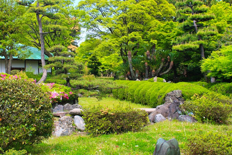 Garten der Burganlage von Nagoya - ©¡zenzen! - stock.adobe.com