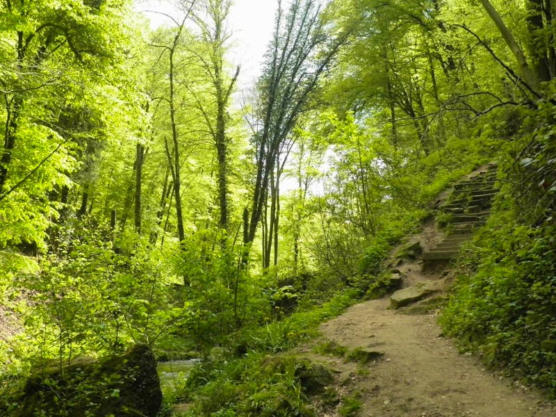 Wanderung durch die kleine Luxemburger Schweiz - ©Constanze Hölig - Eberhardt Travel