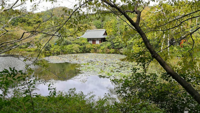 Ryoanji Tempel Kyoto - ©Andreas Mandel