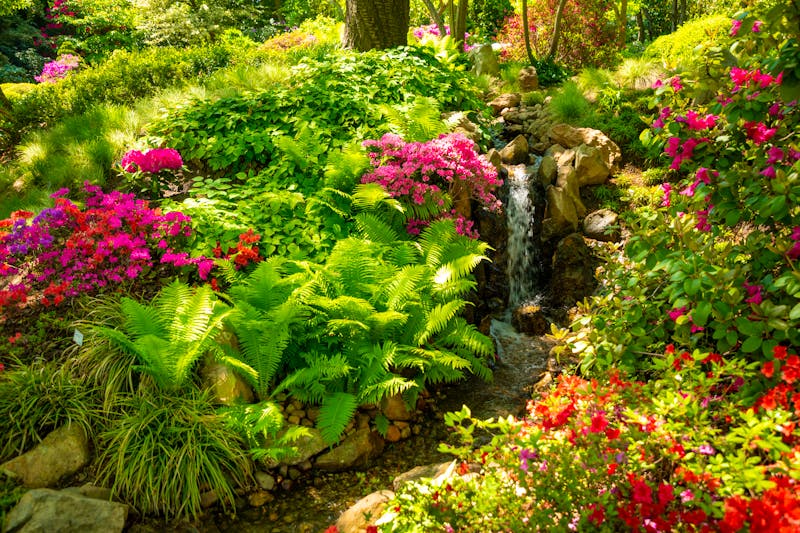 Botanischer Garten in Prag - Japanischer Garten - ©dtatiana - stock.adobe.com