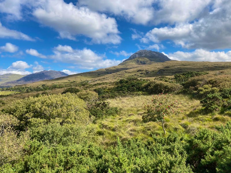 7. Tag – Connemara – Wanderung auf den Diamond Hill im Connemara-Nationalpark - ©Andreas Wolfsteller