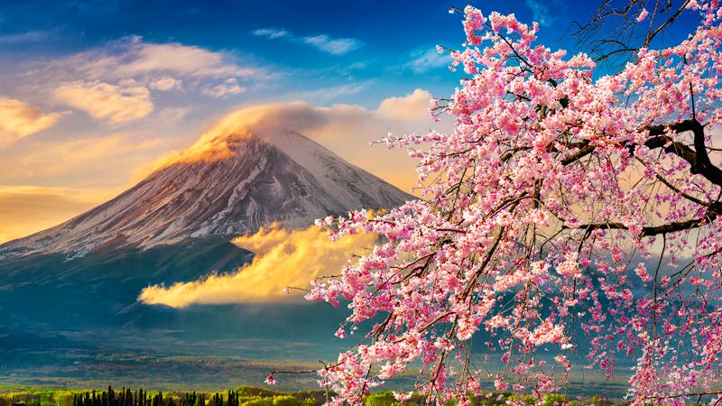 Fujisan - Blick auf den heiligen Berg zur Zeit Jaoans der kirschblüte - ©tawatchai1990 - AdobeStock.com