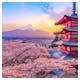 Japan zur Kirschblüte - Blick auf die Chureito-Pagode in Fujiyoshida und den Fuji-Berg – © Travel mania - stock.adobe.com