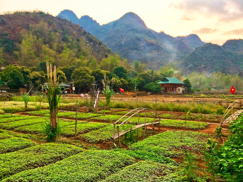 Im grünen Bergland von Mai Chau - ©Ngoc Anh Nguyen - Eberhardt TRAVEL