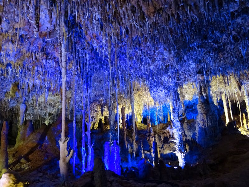 Hams - Höhle in Porto Christo - ©Hans-Joachim Trutz