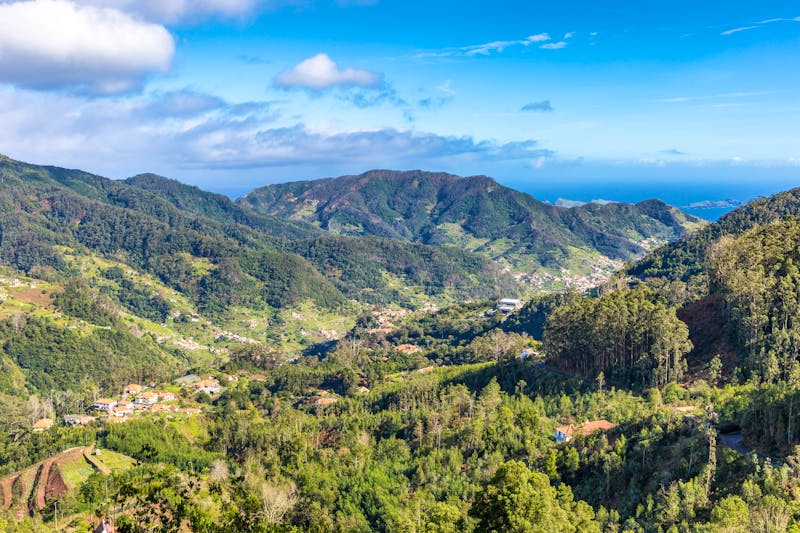 Santo Antonio da Serra - Madeira - ©Dieter Meyer - stock.adobe.com
