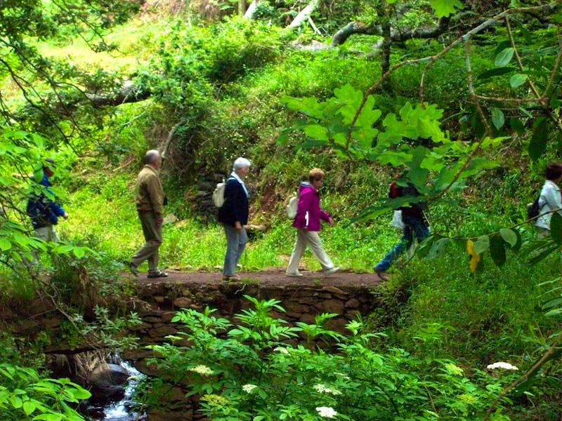 Levada-Wanderung im Vale Paraiso auf Madeira - ©Annette Lenz - Eberhardt TRAVEL