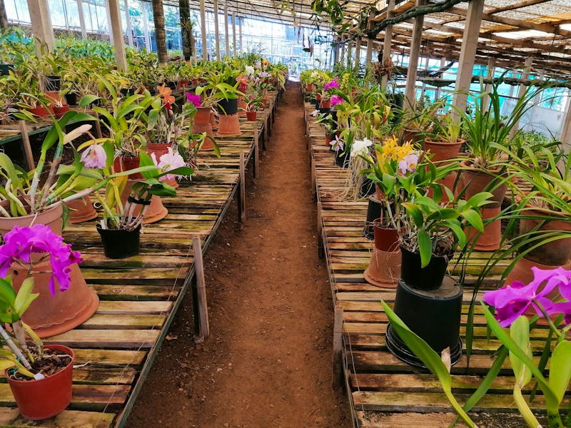 Orchideen Garten in Funchal - ©Philip Seidel - Eberhardt TRAVEL