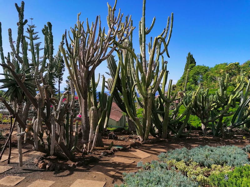 Botanischer Garten in Funchal - ©Philip Seidel - Eberhardt TRAVEL
