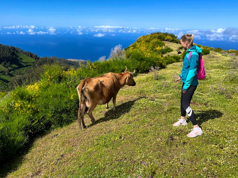 Wanderung entlang der Levada do Paul - ©Vicky Kern - Eberhardt TRAVEL