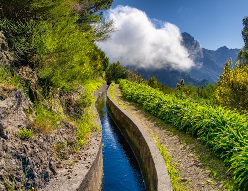 Levada do Norte im Süden von Madeira – © janajez - stock.adobe.com