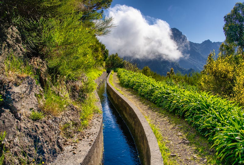 Levada do Norte im Süden von Madeira - ©janajez - stock.adobe.com