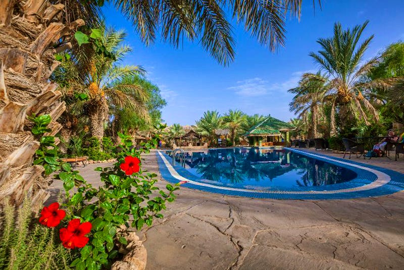 Kasbah Hotel Xaluca Arfoud - Pool - ©Kasbah Hotel Xaluca Arfoud