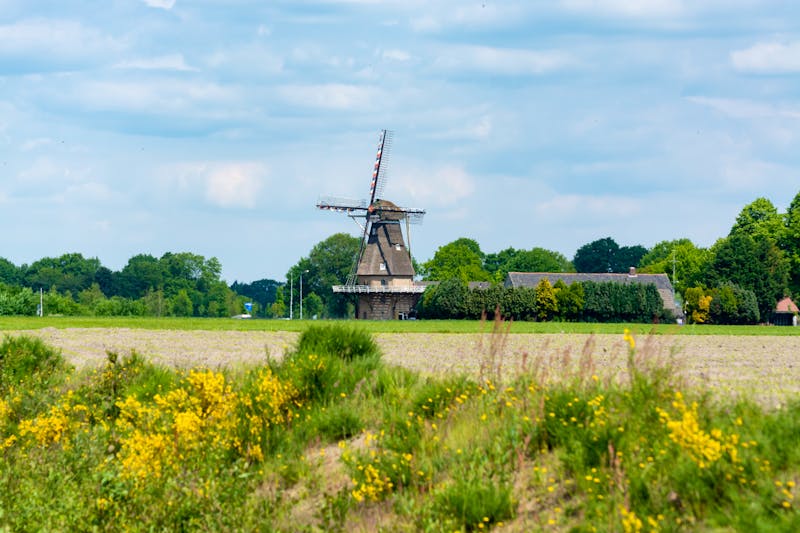 Holländische Windmühle bei Veldhoven in Nord Brabant - Niederlande - ©barmalini - stock.adobe.com