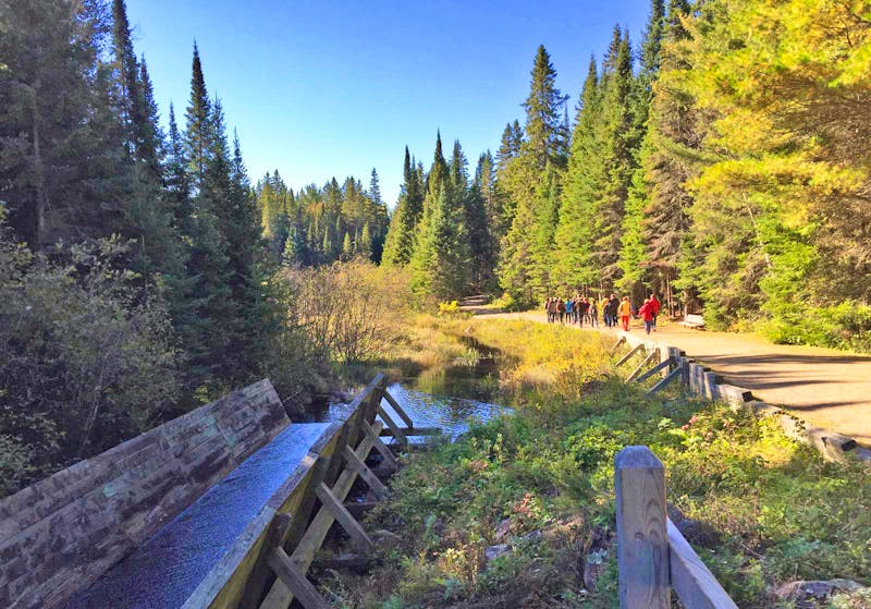 Leichte Wanderung im Algonquin Provinz Park - ©Patrick Fritzsche - Eberhardt TRAVEL