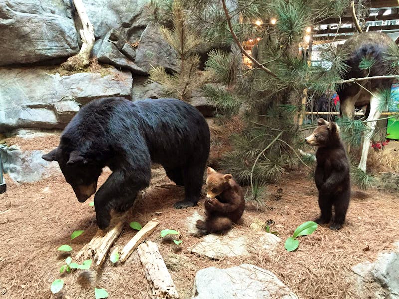 Im Besucherzentrum des Algonquin Provinz Parks - ©Patrick Fritzsche - Eberhardt TRAVEL