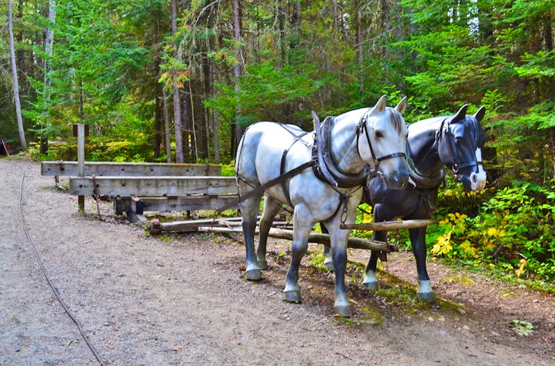 Holzfäller-Museum im Algonquin Provinz Park - ©Andreas Wolfsteller - Eberhardt TRAVEL