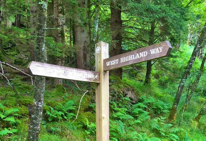 Wanderweg West Highland Way nahe Loch Lomond - ©Andreas Wolfsteller - Eberhardt TRAVEL