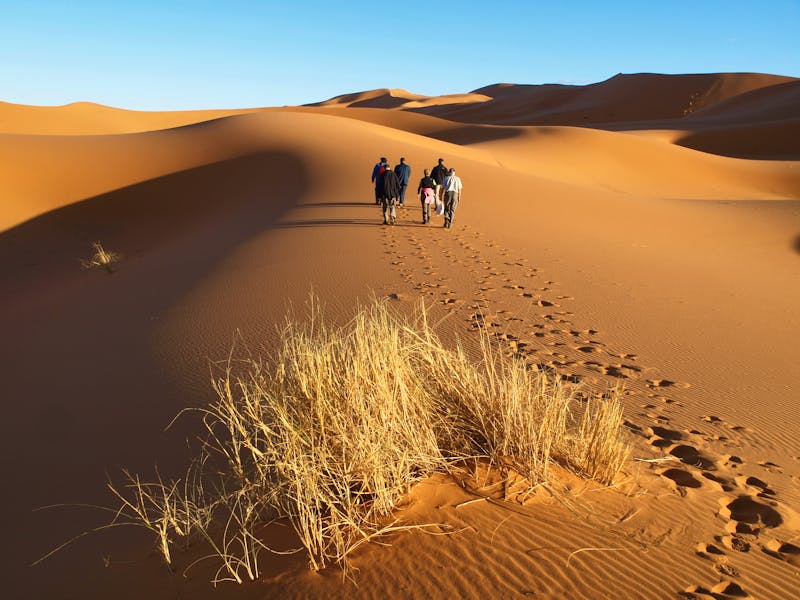 Wüstenlandschaft Erg Chebbi in Marokko - ©Markus Haack - stock.adobe.com