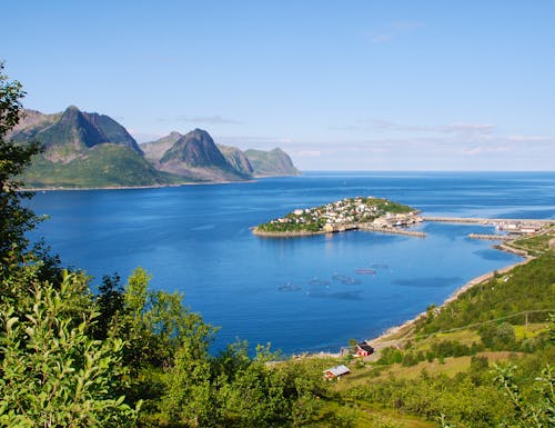 Insel Senja  – © alfrag - stock.adobe.com
