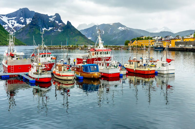Fischerboote am Pier auf der Insel Senja  - ©vadim.nefedov - stock.adobe.com