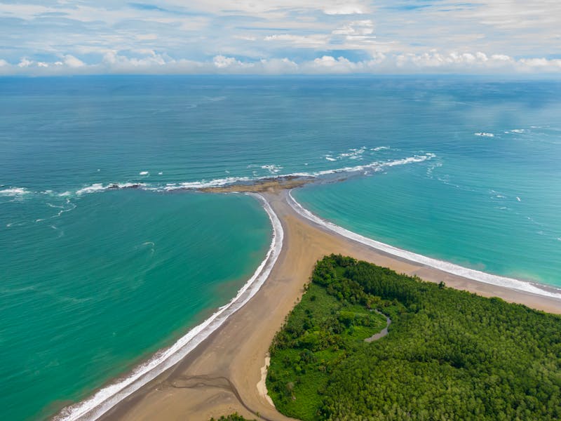 Luftaufnahme der Walflosse am Strand vom Nationalpark Marino Bellena  - ©Gian - stock.adobe.com