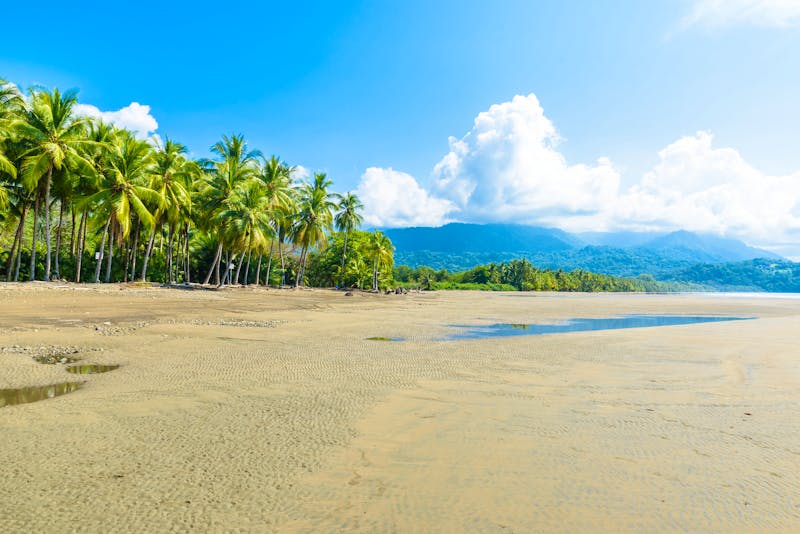 Marino Ballena Nationalpark - Strand - ©Simon Dannhauer - stock.adobe.com