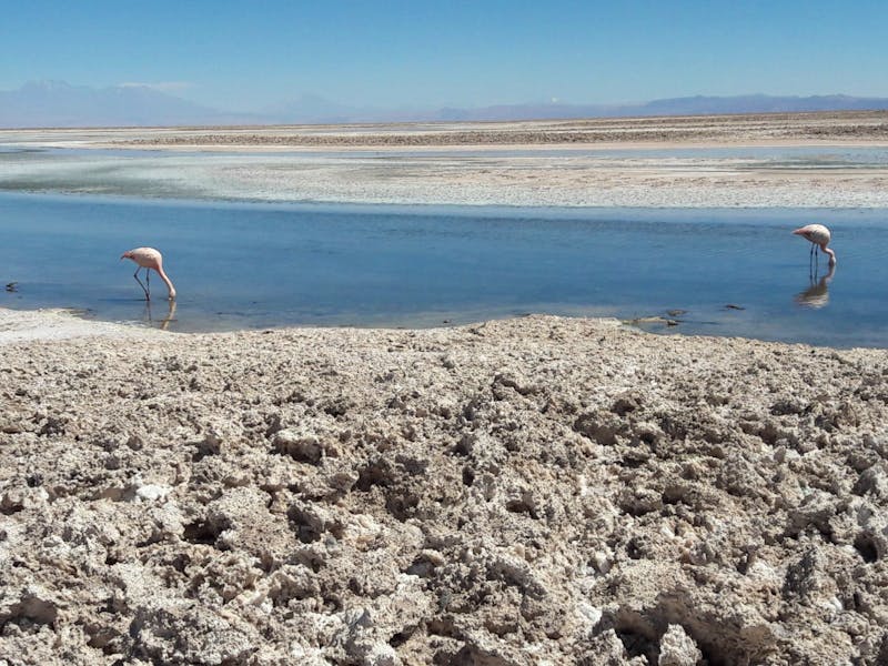 Salar de Atacama - ©Sylvia Sann - Eberhardt TRAVEL