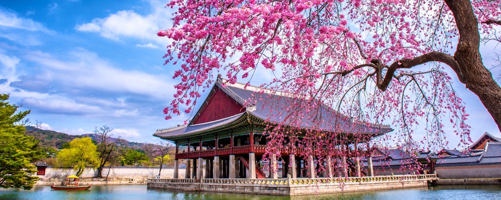 Seoul - Gyeongbokgung-Palast im Frühling zur Kirschblüte – © sayan - stock.adobe.com