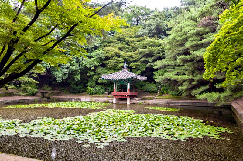 Seoul - Changdeok-Palast - Parkanlage - ©Kazu - stock.adobe.com