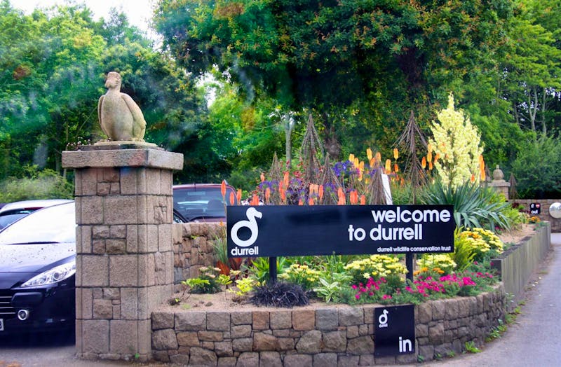 Ausflug zum Zoo Durell Wildlife Trust auf Jersey - ©Kristin Weigel - Eberhardt TRAVEL