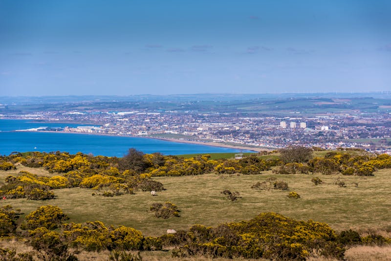 Blick auf die Stadt Ayr in Schottland - ©Rodney - stock.adobe.com