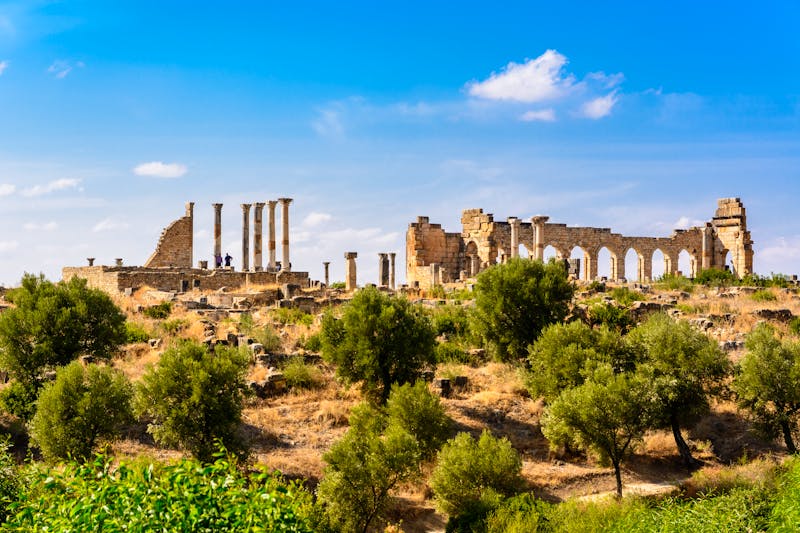 Alte Römerstadt Volubilis bei Meknes - ©Deyan - stock.adobe.com
