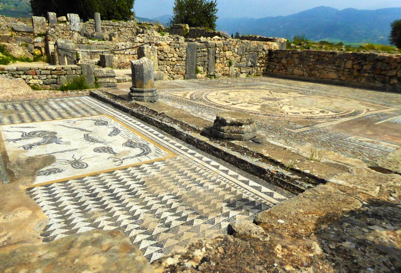 Römische Mosaike in Volubilis bei Meknes - ©Sabine Letzybyll - Eberhardt TRAVEL