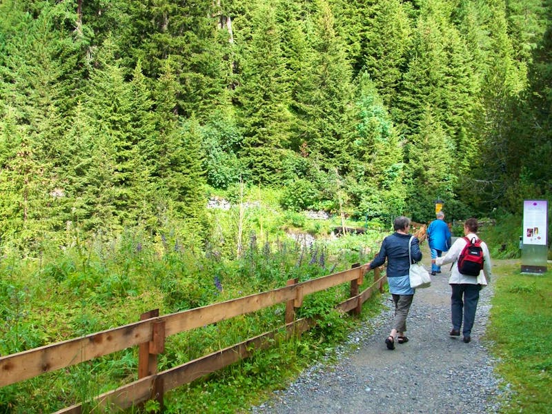 Wanderung auf der Schatzalp - ©Steffen Mucke - Eberhardt TRAVEL
