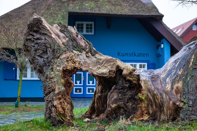 Kunstkaten in Ahrenshoop - ©Martina Weber - Adobe Stockphoto