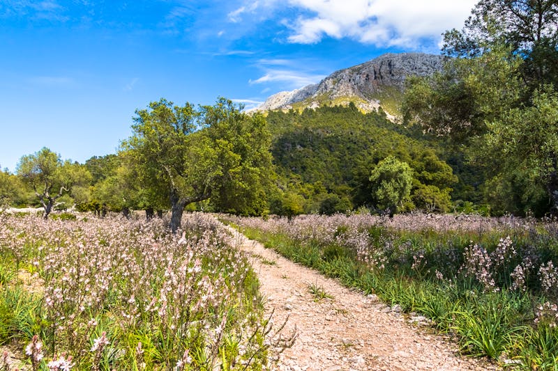 Wanderung zum Kloster Lluc auf Mallorca - ©J.M. Image Factory - stock.adobe.com