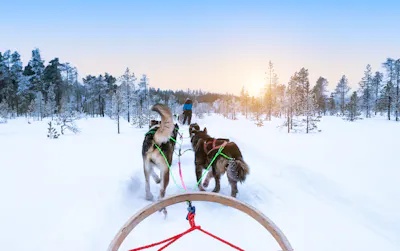 Singlereise Finnland: Nordlichter & Winterabenteuer