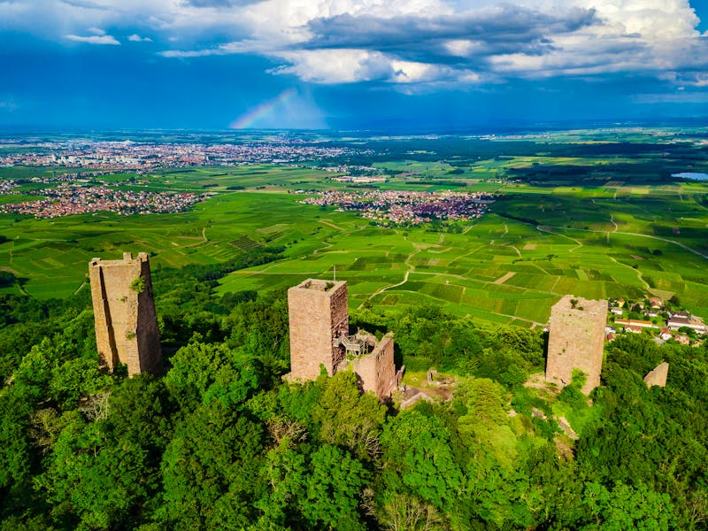 Landschaft im Elsass bei Colmar - ©31etc - stock.adobe.com