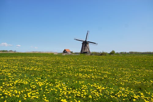 Landschaft bei Bergen in Nordholland &ndash; &copy; Thijs de Graaf - stock.adobe.com