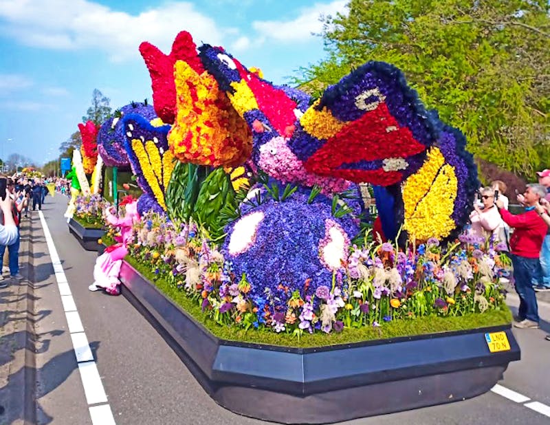 Blumenkorso in Holland - &copy;Eberhardt TRAVEL - Jan Tuzar
