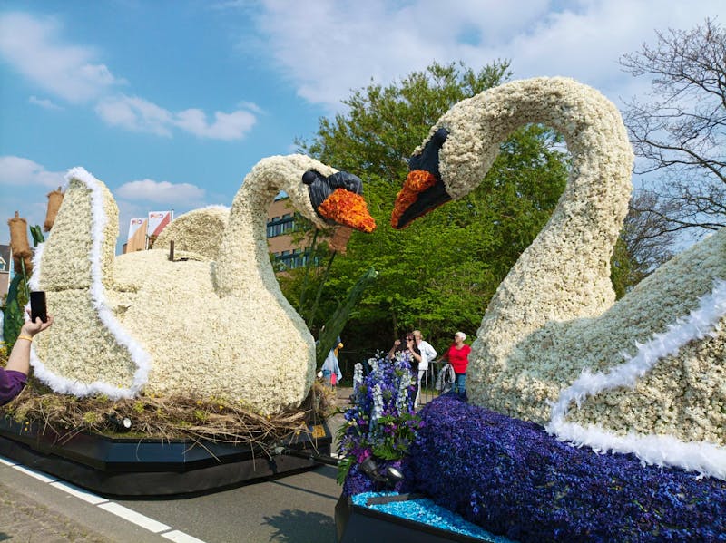 Blumenkorso in Holland - &copy;Gisela Gerlach - Eberhardt TRAVEL