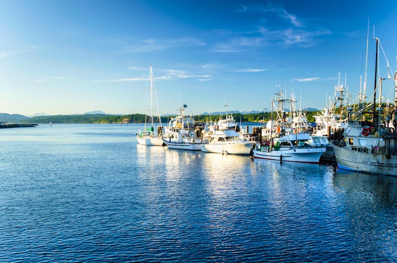 Fischerboote im Hafen von Campbell River  - ©alpegor - stock.adobe.com